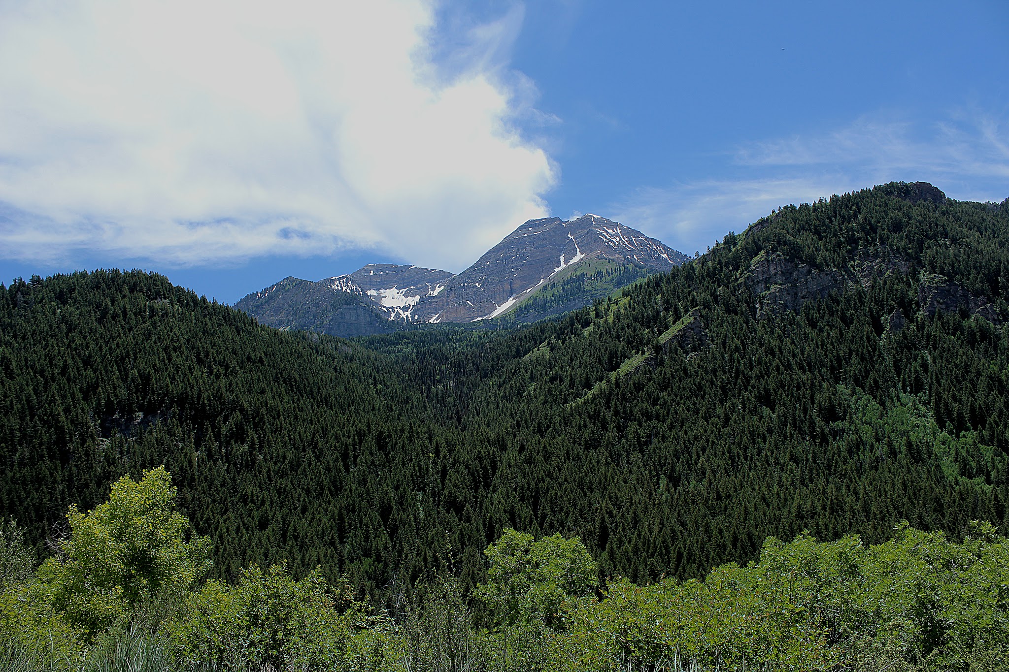 Forested mountain valley with snow-patched peaks under a blue sky